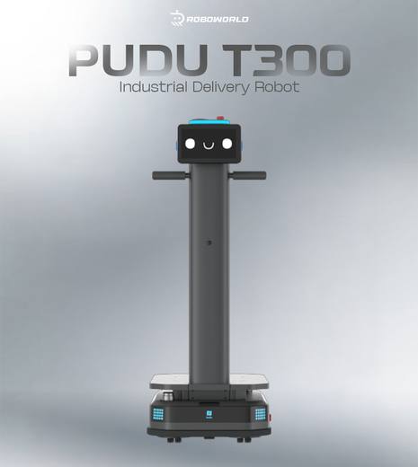 Robot T300