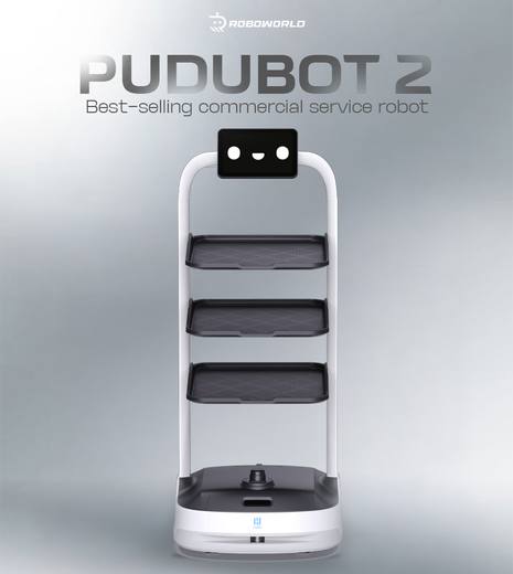 Robot PuduBot 2